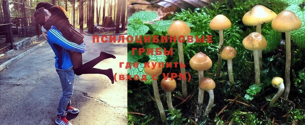 а пвп мука Балахна