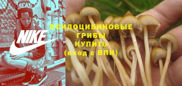 а пвп мука Балахна